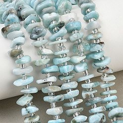 Larimar Perlas naturales larimar hebras, pepitas, 7.5~13x6~13x2~5 mm, agujero: 0.9 mm, sobre 68~86 unidades / cadena, 15.35~15.75'' (39~40 cm)