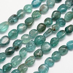 Apatite Natural Apatite Bead Strands, Tumbled Stone, Nuggets, 6~12x6~13mm, Hole: 1mm, about 15.74 inch