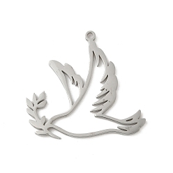 Нержавеющая Сталь Цвет 304 подвески из нержавеющей стали, голубь мира с оливковой ветвью, цвет нержавеющей стали, 29x31.5x1.5 мм, отверстие : 1.5 мм