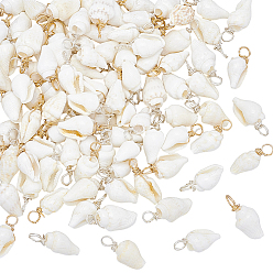 Золотой & Серебряный 100 шт. 2 цвета натуральные подвески в виде раковины трубы, Подвески в форме ракушек с петлями из медной проволоки, белые, золотой и серебряный, 16 мм, отверстие : 2.5~3 мм, 50 шт / цвет