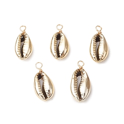 Золотой Гальванические подвески из натуральных ракушек каури, подвески в форме ракушек с петлями из экологически чистой медной проволоки, золотые, 25x12x6 мм, отверстие : 3 мм