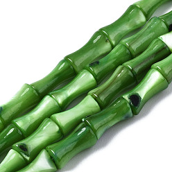 Olive Drab Natural Freshwater Shell Beads Strands, Dyed, Bamboo Stick, Olive Drab, 8x4.5x4.5mm, Hole: 0.7mm, about 45~48pcs/strand, 14.61~15.51 inch(37.1~39.4cm)