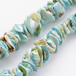 Sky Blue Natural Shell Bead Strands, Dyed, Nuggets, Sky Blue, 10~20x8~12x3~6mm, Hole: 1mm, about 15.7 inch