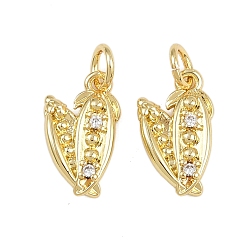 Настоящее золото 18K Латунные микро проложить кубического циркония подвески, подвески в виде стручков гороха, с целью перехода в кольце, стойки покрытие, долговечный, без свинца и без кадмия, реальный 18 k позолоченный, 14x8x2.5 мм, отверстие : 3 мм