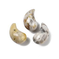 Сумасшедший Агат Подвески из натурального кружевного агата, прелести магатама, 19x11x10.5 мм, отверстие : 1.4 мм