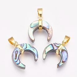 Раковина Пауа оболочки подвески, с латунной фурнитурой , двойной рог / полумесяц, золотые, 22~23x20x6.5~8 мм, отверстие : 4x7 мм