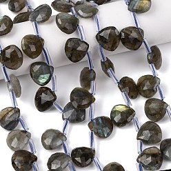 Лабрадорита Природные лабрадорита бисер нитей, слеза, граненые, Топ пробуренной, с пластиковыми трубчатыми бусинами, 6x12x12 мм, отверстие : 1 мм, около 33 шт / нитка, 14.96'' (38 см) ~ 15.35'' (39 см)