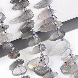 Grey Moonstone Натуральные серые бусины из лунного камня, самородки, Топ пробуренной, упавший камень, с бисером, 9.5~25x4~11.5x3.5~8 мм, отверстие : 0.8~1 мм, около 42~61 шт / нитка, 14.96~16.14'' (38~41 см)