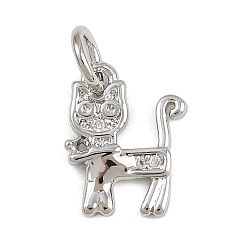 Платина Латунные микро проложить кубического циркония подвески, подвески в форме кошки, с целью перехода в кольце, стойки покрытие, долговечный, без свинца и без кадмия, платина, 11.5x9x1.5 мм, отверстие : 3.5 мм