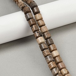 Пейзажный Джаспер Естественного изображения яшмы бисер нитей, колонка, 9~10x10 мм, отверстие : 1 мм, около 40 шт / нитка, 15.55 дюйм (39.5 см)