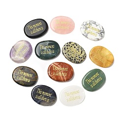 Смешанные камни Кабошоны из натурального смешанного драгоценного камня, Овал с выгравированным словом «Этот момент — это все, что есть», 44~46x34~35x6.5~7.5 мм