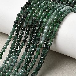 Бирманский Нефрит Естественный жадеит бисер пряди, граненые, круглые, 3 мм, отверстие : 0.7 мм, около 128~137 шт / нитка, 15.35''~15.55'' (39~39.5 см)
