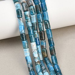 Апатит Природного апатита нитей бисера, колонка, 7.5~9x5~5.5 мм, отверстие : 0.7~0.8 мм, около 48 шт / нитка, 15.35'' (39 см)