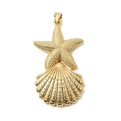 Настоящее золото 18K Латунные подвески, в форме ракушки с подвесками в виде морских звезд, долговечный, стойки покрытие, без свинца и без кадмия, реальный 18 k позолоченный, 41x23.5x6.5 мм, отверстие : 3x2.5 мм