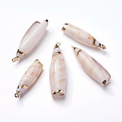 Shell Shell Pendants, with Iron Findings, Spiral Shell, Light Gold, 36~49x11~14x8.5~12mm, Hole: 1.8mm