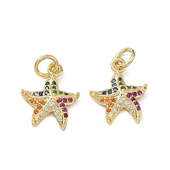 Настоящее золото 16K Латунные микро проложить кубического циркония прелести, прелести морская звезда, реальный 16 k позолоченный, 14x11.5x3 мм, Перейти кольцо: 5x1 мм, внутренний диаметр: 3.5 мм