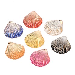 (52) Непрозрачная лаванда Прозрачные акриловые соединители звеньев, с гальваническим дном, форма морского гребешка, разноцветные, 35x32x5 мм, отверстие : 1.2 мм