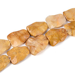 Моокаит Природные mookaite бисер нитей, самородки, 23~32.5x23~27.5x4.5~8 мм, отверстие : 0.8~1.2 мм, около 13 шт / нитка, 15.35~15.75'' (39~40 см)