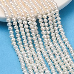 Dentelle Vieille Brins de perles de culture d'eau douce naturelles, pomme de terre, note 3a+, vieille dentelle, 4~4.5mm, Trou: 0.5mm, Environ 97 pcs/chapelet, 15.35'' (39 cm)