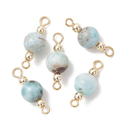 Золотой Круглые соединительные подвески из натурального ларимара, с 304 петлями из нержавеющей стали, золотые, 22.5~23.5x8.5 мм, отверстие : 2~2.5 мм