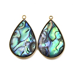 Teardrop 304 подвески из натуральной ракушки пауа из нержавеющей стали, ионное покрытие (ip), реальный 18 k позолоченный, слеза, 31x19~19.5x3.5~4 мм, отверстие : 1.6~1.8 мм