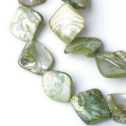 Green Natural Sea Shell Beads, Irregular, Green, 14~23x18~20mm, Hole: 1mm, 22pcs/strand, 16 inch/strand
