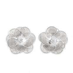 Платина Шапочки и конусы для бусин, латунные, цветок, платина, 23x24x4.5 мм, отверстие : 1 мм