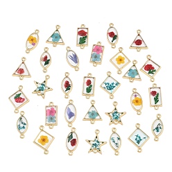 Mixed Shapes Подвески-коннекторы из сплава эпоксидной смолы, с сухих цветов внутри, золотые, разноцветные, разнообразные, 20~24.5x10~17.5x2.5~3 мм, отверстие : 1.8 мм