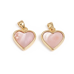 Розовая Раковина Натуральные розовые подвески, с позолоченными 18 деталями из латуни, долговечный, сердце, 12x12x3 мм, отверстие : 3x2.5 мм