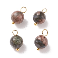 Gemstone Natural Glaucophane Charms, with Golden Tone Brass Loops, Round, 13x8.5mm, Hole: 2mm
