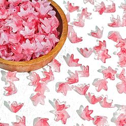 Ярко-Розовый Прозрачные колпачки для бусин в стиле лэмпворк, цветок, ярко-розовый, 12x10 мм