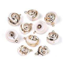 Морская Ракушка Подвески из натуральных морских ракушек, покрытые гальваническим способом, подвески в форме ракушек, с железными петлями и латунной фурнитурой, золотые, цвет морской раковины, 21~23x15~21x7~15 мм, отверстие : 1.6 мм