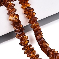 Saddle Brown Natural Amber Beads Strands, Rhombus, Saddle Brown, 9~13x9~13x2~4.5mm, Hole: 0.7~1mm, about 73~75pcs/strand, 15.55~15.75 inch(39.5~40cm)