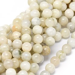 Rainbow Moonstone Бусины из натурального радужного лунного камня, круглые, 6 мм, отверстие : 0.8 мм, около 62~65 шт / нитка, 15.55 дюйм (6.10 см)