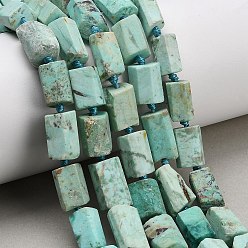 Peruvian Turquoise(Jasper) Бусы натуральная перуанская бирюза (яшма), колонка, граненые, 12~14x7.5~9x7.5~9 мм, отверстие : 1 мм, около 28 шт / нитка, 17.13'' (43.5 см)