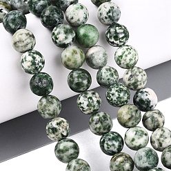 Камень с Зелеными Точками Натуральные зеленые пятна яшмовых нитей, гладкий круглый, 8~8.5 мм, отверстие : 0.8~1 мм, около 44~47 шт / нитка, 14.37~15.35 дюйм (36.5~39 см)