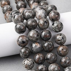 Syenite Натуральный флуоресцентный сиенитовый камень (светящийся в ультрафиолетовом свете) бусины нити, круглые, 14~14.5 мм, отверстие : 1.2 мм, около 28~30 шт / нитка, 15.35~16.14'' (39~41 см)