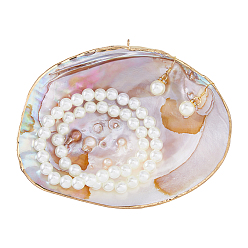 PeachPuff Natural Shells Display Decorations, Home Decorations, Shell Shape, PeachPuff, 128x160x23mm