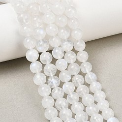 Rainbow Moonstone Бусины из натурального радужного лунного камня, круглые, сгладить, 8 мм, отверстие : 0.8 мм, около 50 шт / нитка, 15.55 дюйм (39.5 см)