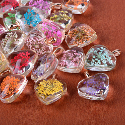 Light Gold Heart Alloy Glass Pendants, Cadmium Free & Lead Free, with Dried Flower Inside, Rose Gold, 27~28x20x11~12mm, Hole: 4.5x2.5mm