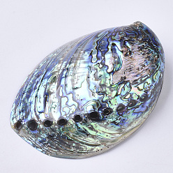 Colorful Natural Abalone Shell/Paua Shell Display Decoration, Home Decoration, Shell, Colorful, 124~125x89~91x37~43mm, Hole: 2.5~5mm