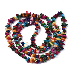 Mixed Color Natural Freshwater Shell Beads Strands, Dyed, Chips, Mixed Color, 2~6x4~14x4.5~8.5mm, Hole: 0.7~0.8mm, about 258~292pcs/strand, 31.10 inch~32.05 inch(79cm~81.4cm)