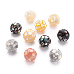 Mixed Color Natural Mixed Shell Beads, Round, Mixed Color, 12.5mm, Hole: 1mm