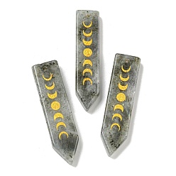 Лабрадорита Подвески с фазой луны из натурального лабрадорита, прелести со стрелами, 49.5x12.5x6 мм, отверстие : 1.6 мм