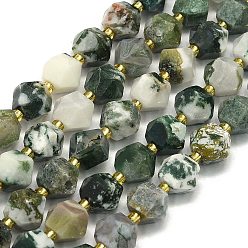 Древесный агат Натурального дерева агат бисер нитей, граненые, восьмиугольный, 9~10.5x9~10.5x7.5~8.5 мм, отверстие : 1 мм, около 36~40 шт / нитка, 15.35~15.55 дюйм (39~39.5 см)