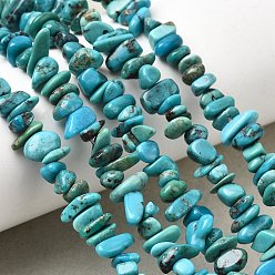 Бирюза из Хубэя Натуральные нити бирюзовый шарик Hubei, самородок, 4~4.5x4~4.5x1~5 мм, отверстие : 0.4 мм, 15.43~15.94'' (39.2~40.5 см)