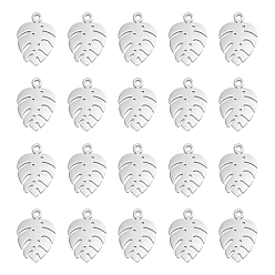 Нержавеющая Сталь Цвет 304 прелести нержавеющей стали, подвески из тропических листьев, лист монстры, цвет нержавеющей стали, 13x9x1 мм, отверстие : 1 мм, 30 шт / коробка