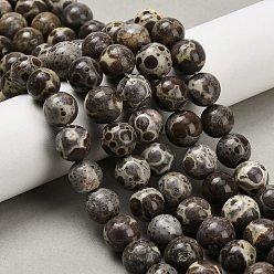 Природный Драгоценный Камень Нити бусин из натуральной яшмы астроита, круглые, 9.5~10 мм, отверстие : 1 мм, около 42 шт / нитка, 16.38'' (41.6 см)