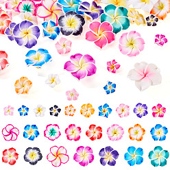(52) Непрозрачная лаванда 50 шт 5 стили ручной работы из полимерной глины 3 d цветок плюмерия бусины, разноцветные, 15~35x8~14 мм, отверстие : 1.5~2 мм, 10 шт / стиль