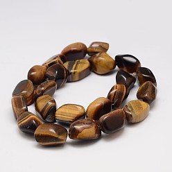 Tiger Eye Natural Tiger Eye Bead Strands, Tumbled Stone, Nuggets, 17~25x10~18x7~16mm, Hole: 1.5mm, about 22~25pcs/strand, 15.75 inch